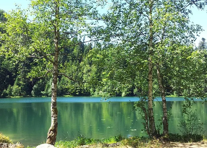 Dom wakacyjny Paillehouse Vosges *