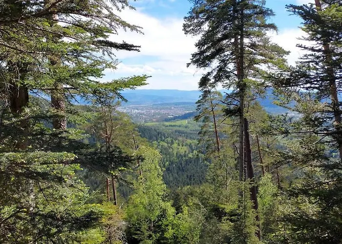 Paillehouse Vosges *